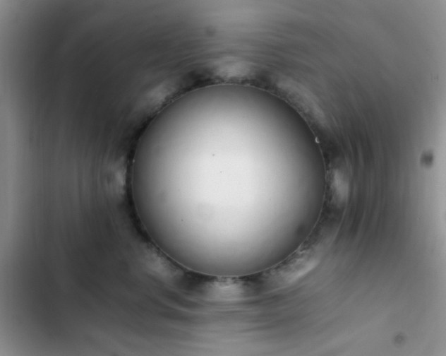 X0000102860668200808181442