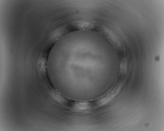 X0000102860671200808181442