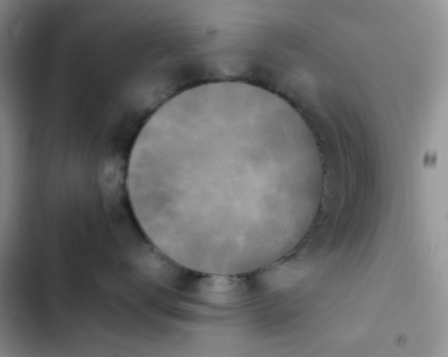 X0000102860672200808181442