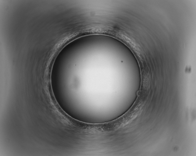 X0000102860673200808181442