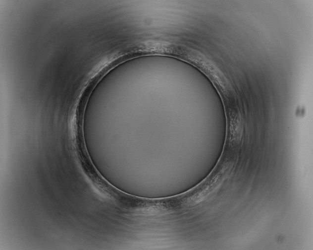 X0000102860674200808181442