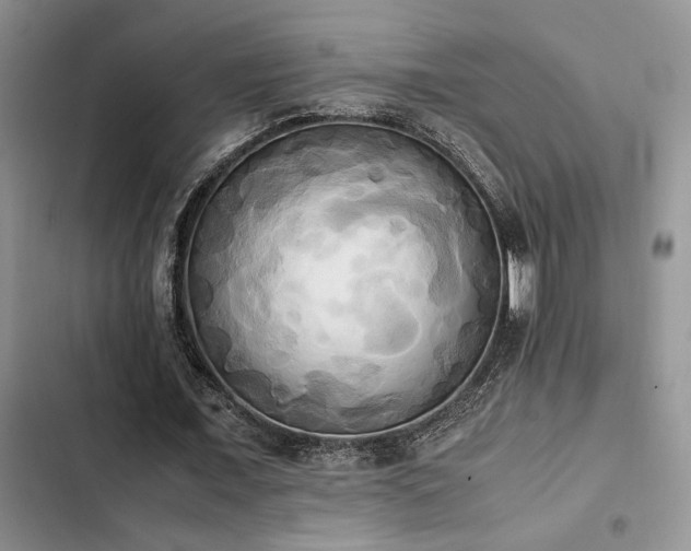 X0000102860675200808181442