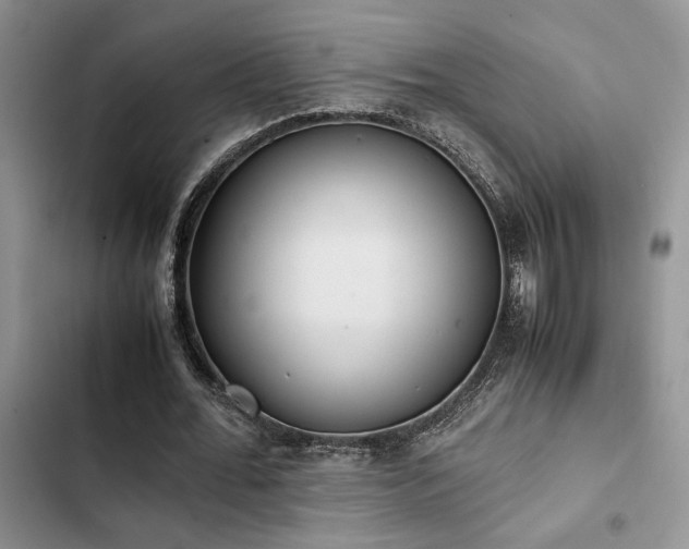 X0000102860676200808181442