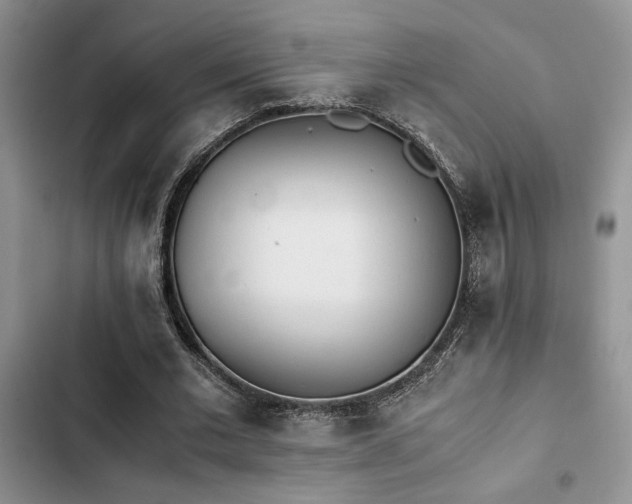 X0000102860677200808181442