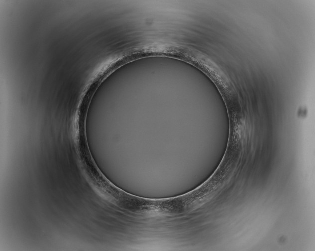 X0000102860678200808181441