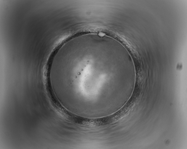 X0000102860679200808181441