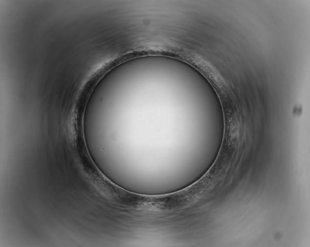 X0000102860680200808181441