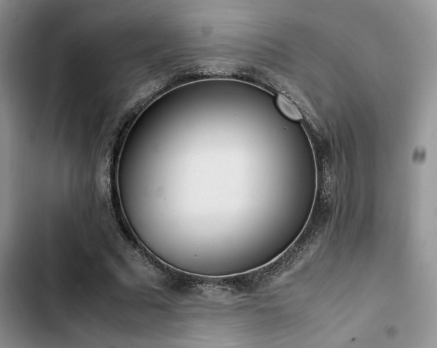 X0000102860681200808181441