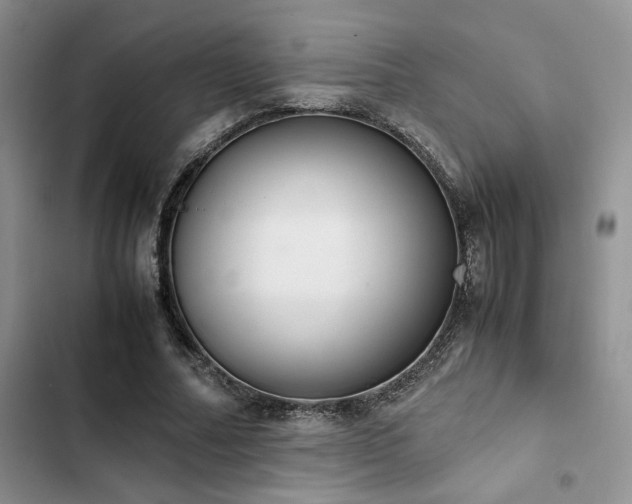 X0000102860682200808181441