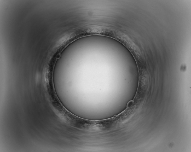 X0000102860683200808181441