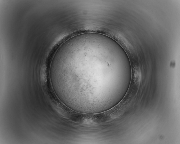 X0000102860684200808181441