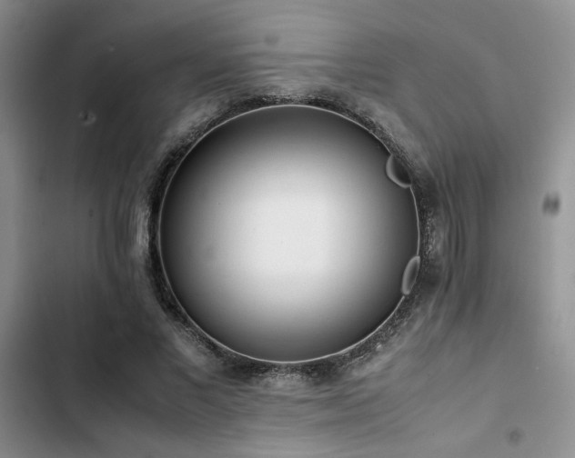 X0000102860685200808181441