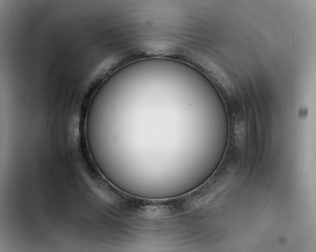 X0000102860686200808181441