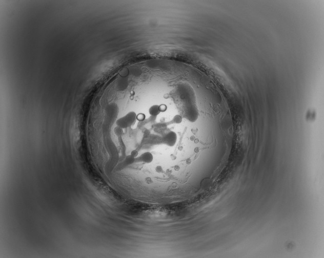 X0000102860687200808181441