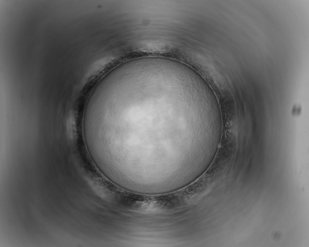 X0000102860688200808181441