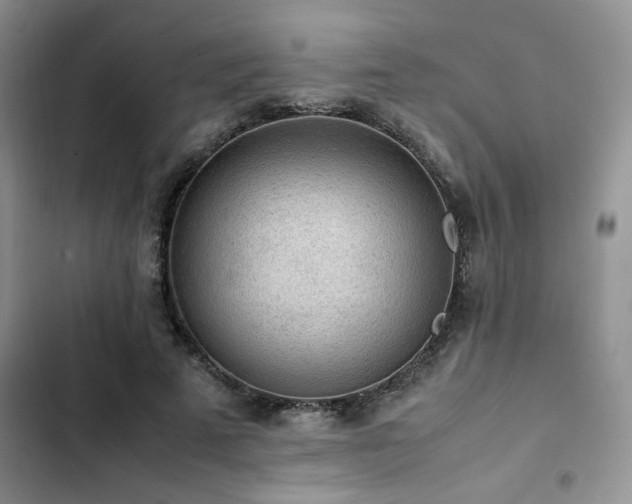 X0000102860689200808181441