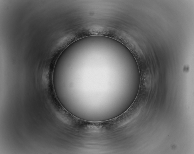 X0000102860690200808181441