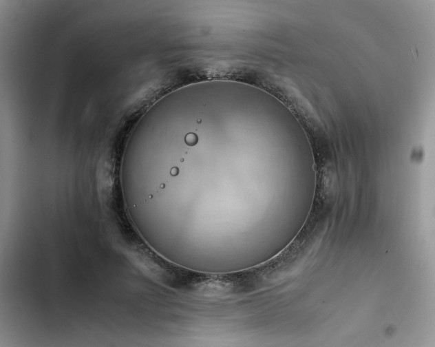 X0000102860691200808181441