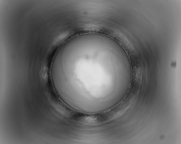 X0000102860692200808181441