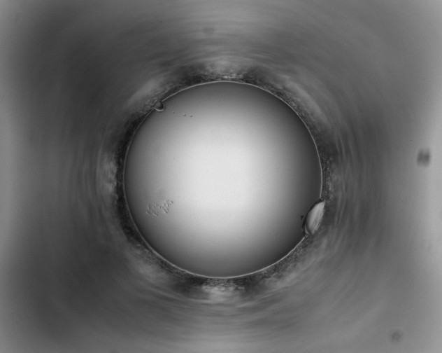 X0000102860693200808181441