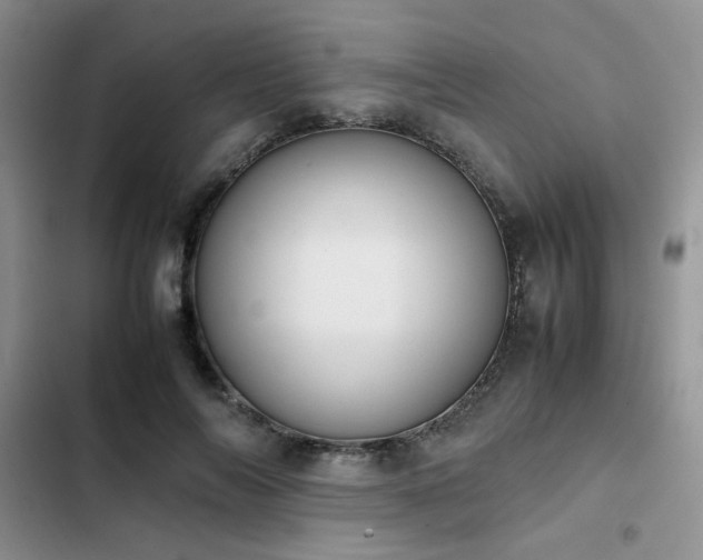 X0000102860694200808181441