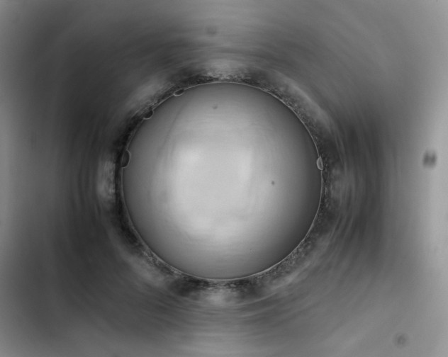 X0000102860696200808181441