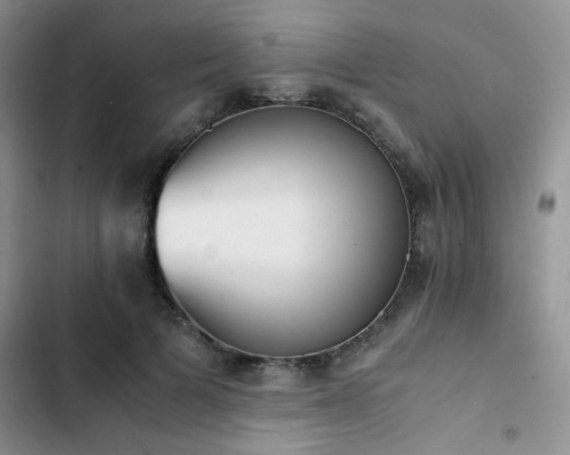 X0000102860697200808181441