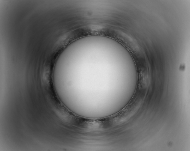 X0000102860698200808181441