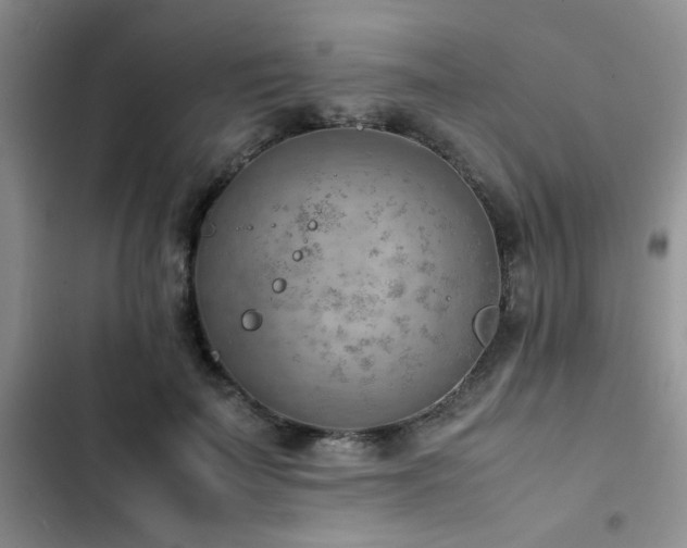 X0000102860699200808181441