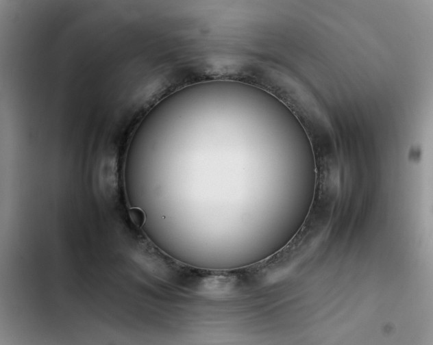 X0000102860700200808181441