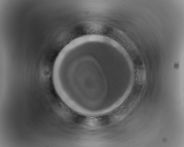 X0000102860701200808181441