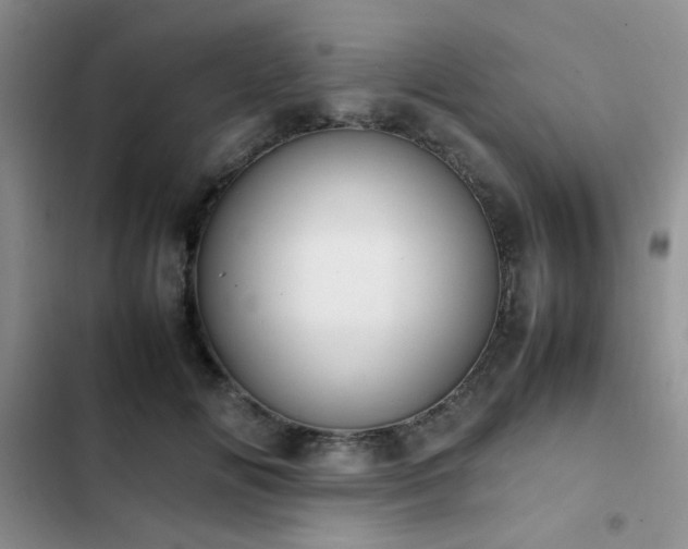 X0000102860702200808181441