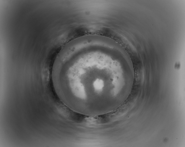 X0000102860703200808181441