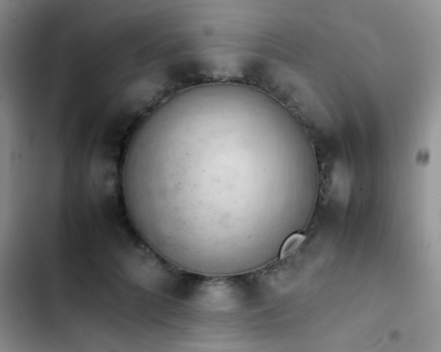 X0000102860704200808181441