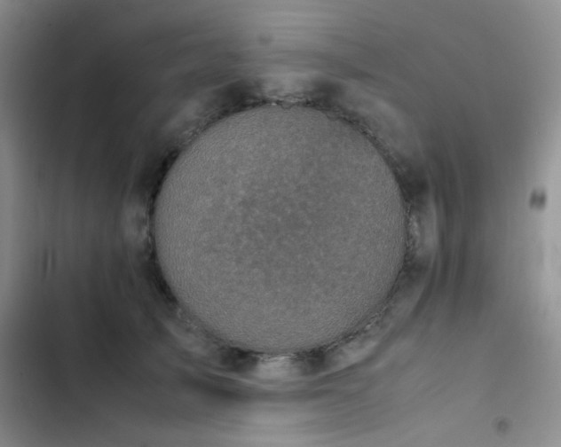 X0000102860705200808181441