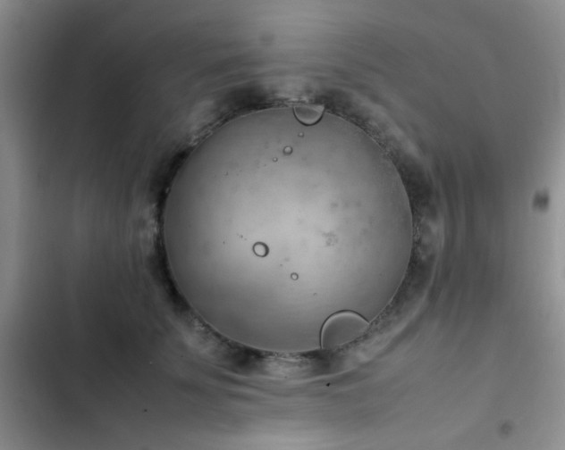 X0000102860707200808181441