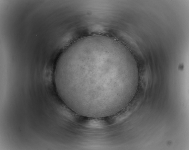 X0000102860708200808181441