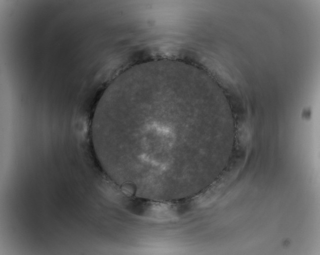 X0000102860709200808181441