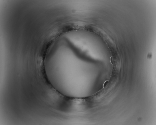 X0000102860711200808181441