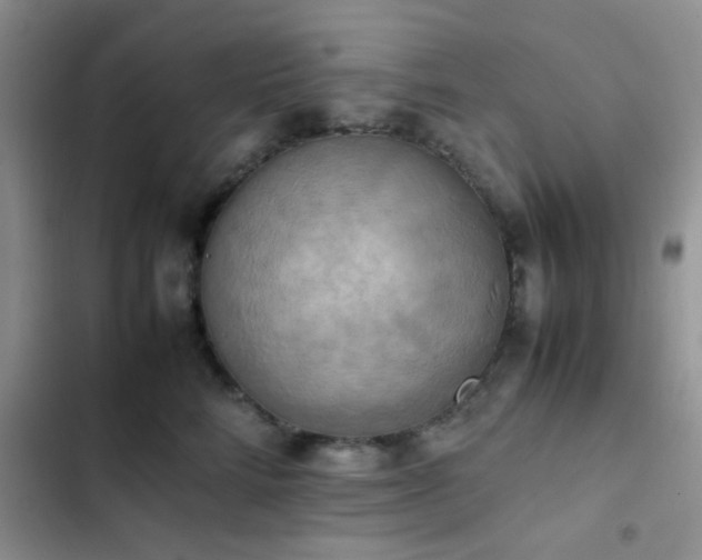 X0000102860712200808181441