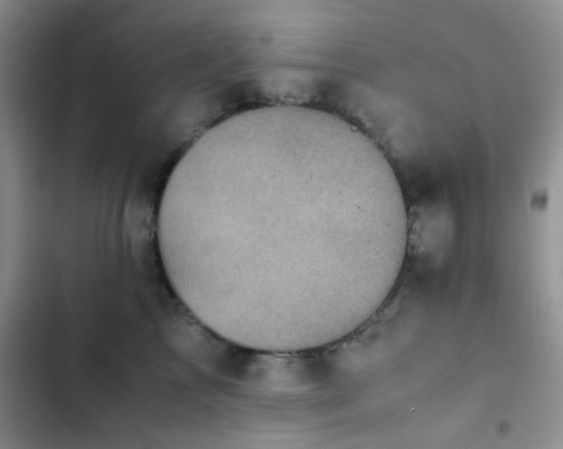 X0000102860713200808181441