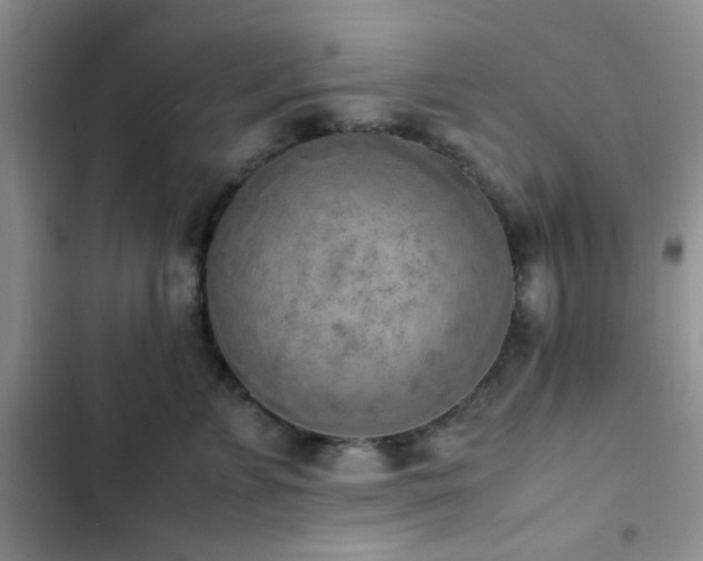 X0000102860715200808181441