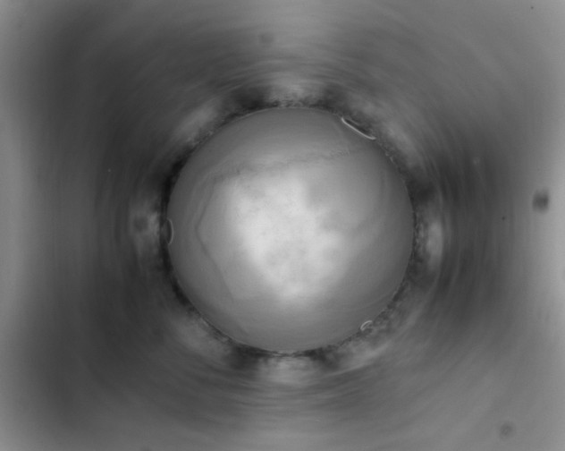 X0000102860716200808181441