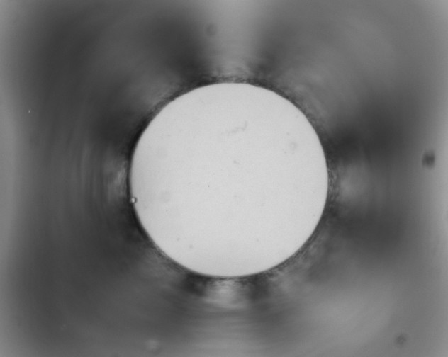 X0000102860717200808181441