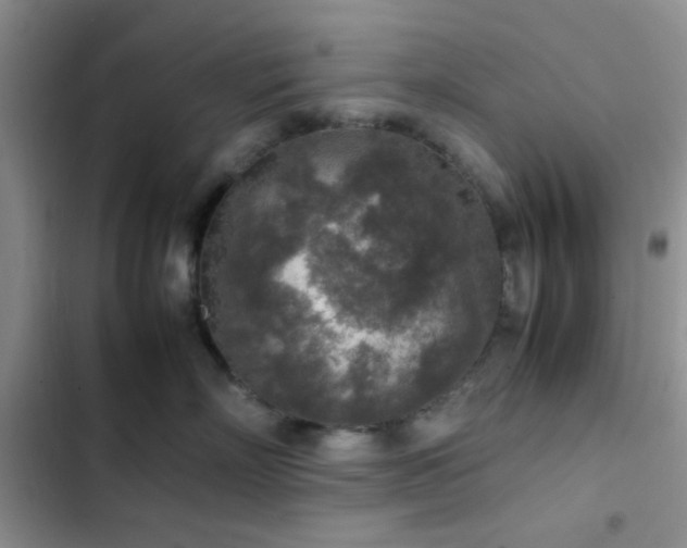 X0000102860718200808181441