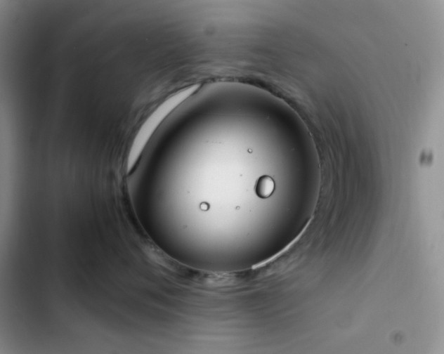 X0000102860720200808181441