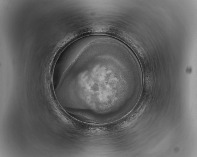 X0000102860721200808181440