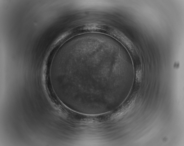 X0000102860724200808181440