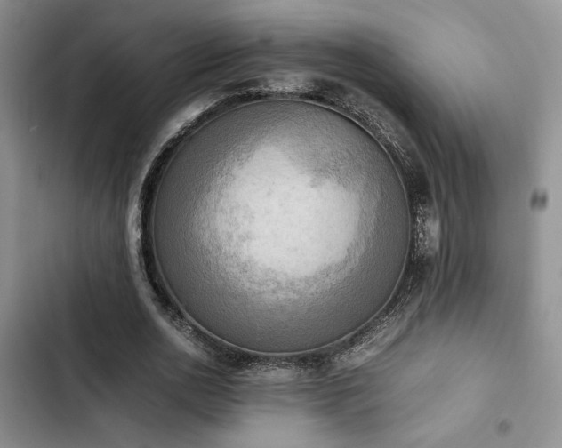 X0000102860726200808181440