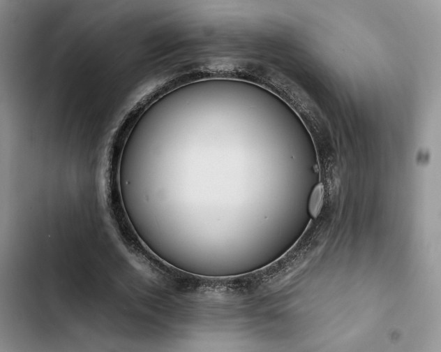 X0000102860728200808181440